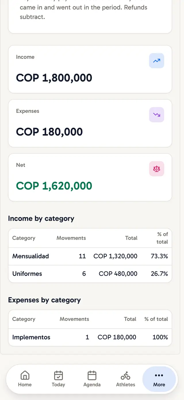 Monthly report on a phone: income, expenses and a positive net